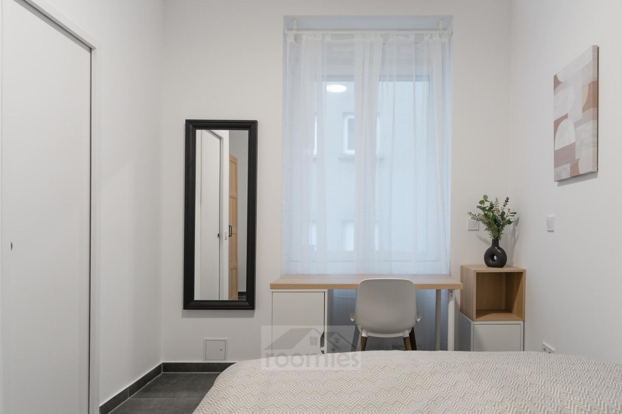 Roomies Centre Gare