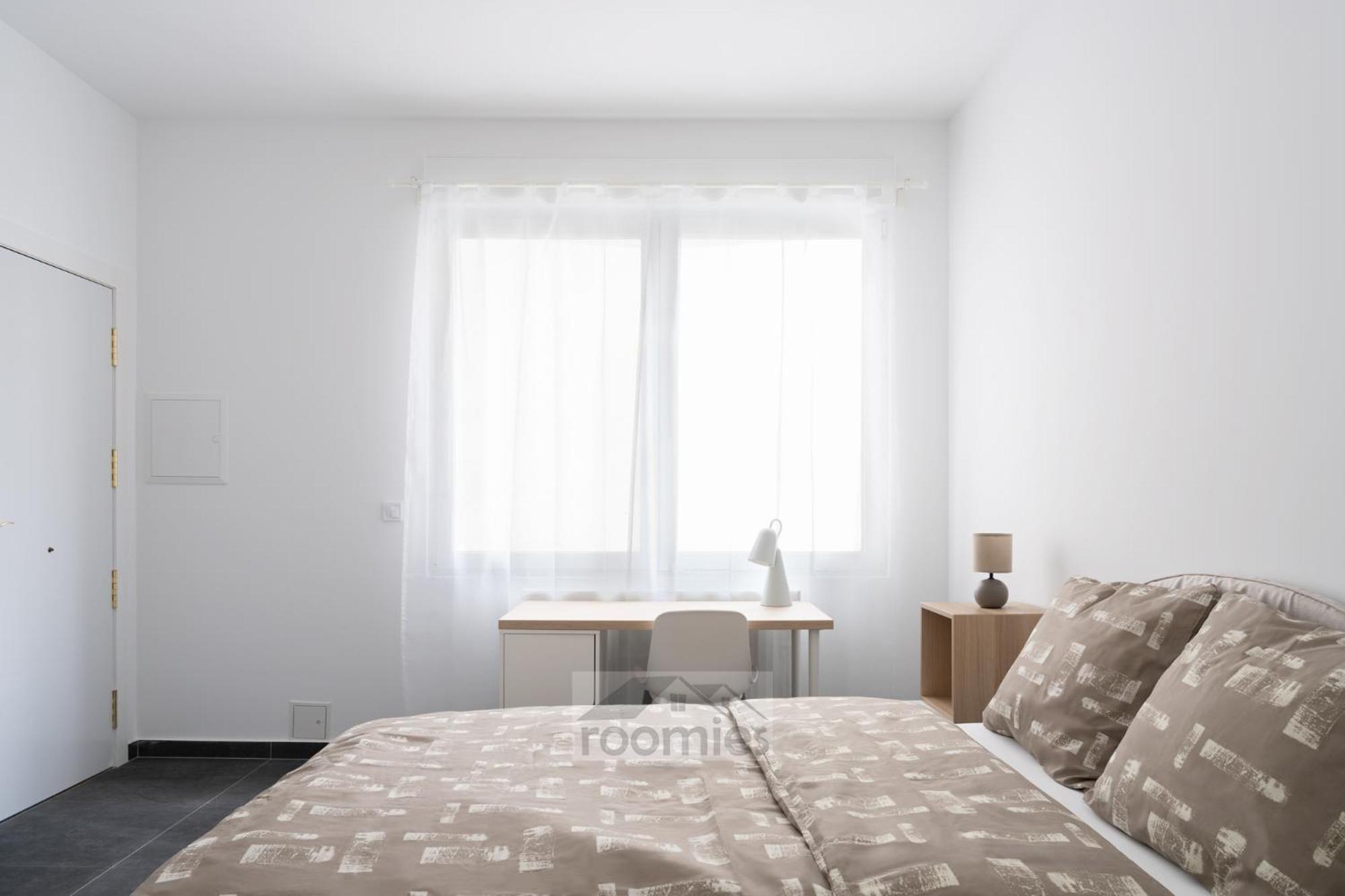 Roomies Centre Gare Gasthof